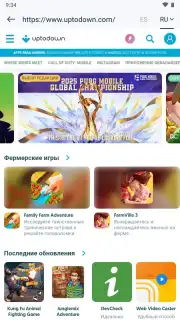 Yandex Translate capture 16