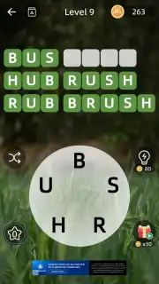 Zen Word capture 5