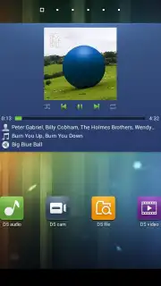 DS file capture 7