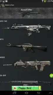 Gun Camera capture 5