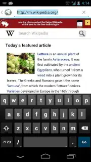 Orweb: Private Web Browser capture 2
