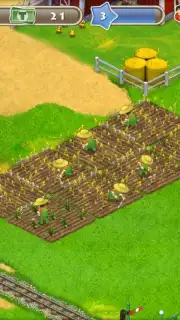 Township capture 15