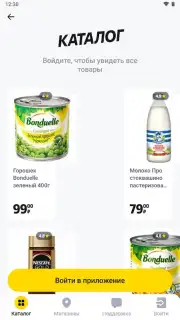 Чижик capture 1