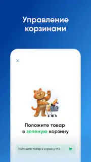 ЛО Сервис capture 4