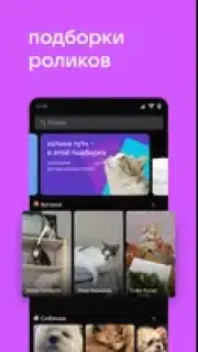 VK Clips capture 8