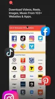 Video Downloader Pro capture 1
