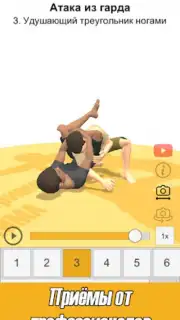ПрофПриёмы 3Д ММА capture 4