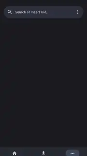 YTDLnis capture 2