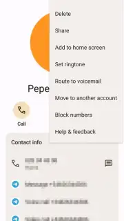 Phone by Google capture 9