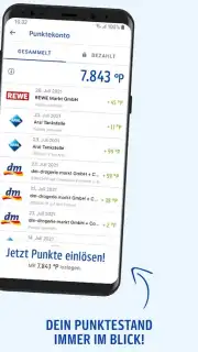 PAYBACK capture 5