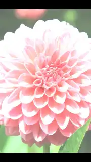 After Effect capture 4