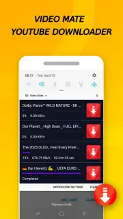 Vidora YouTube Downloader | free & fast capture 10