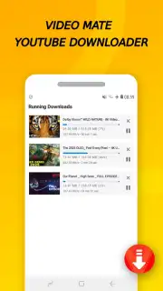 Vidora YouTube Downloader | free & fast capture 1