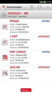 Bank Pekao capture 3