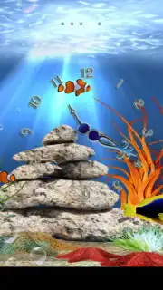 Tropical aquarium capture 4