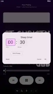 VIVI Music capture 20