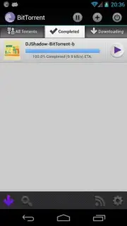 BitTorrent capture 2