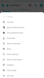 Bing capture 17