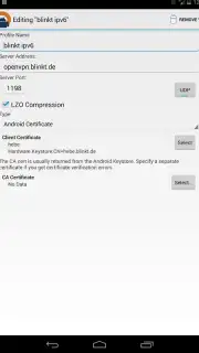 OpenVPN capture 11