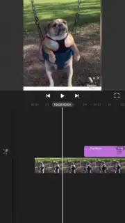 Motion Ninja capture 4