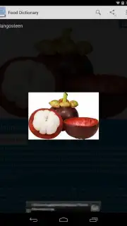 Food Dictionary capture 8