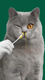 Cat ASMR: Salon Makeover capture 2