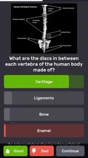 QuizzLand capture 5