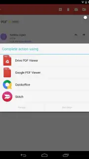 Google PDF Viewer capture 1