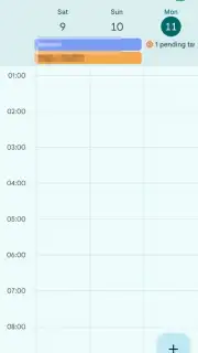 Google Calendar capture 6