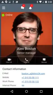 Bitrix24 capture 6