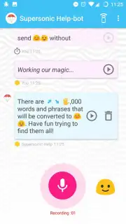 Supersonic Fun Voice Messenger capture 8