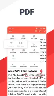 WPS Office capture 15