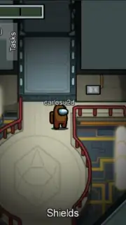 Among Us capture 21