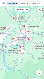 Google Maps capture 6