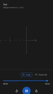 Google Recorder capture 2