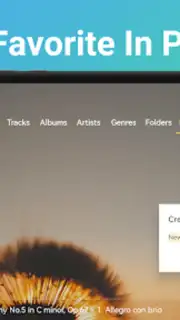 Music Player&Audio:Echo Player capture 1