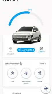 Bluelink capture 3