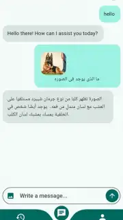 Chat Mate capture 8