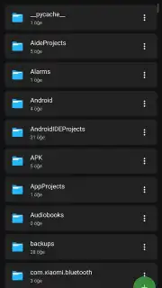 SV File Manager capture 5