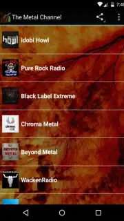 The Metal Channel Free capture 3