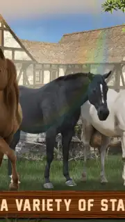 Horse Simulator Free capture 2