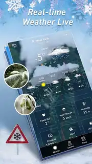 Local Weather Widget capture 9