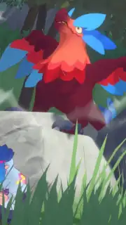 Kardmi capture 9