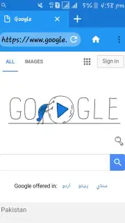 Fast browser W browser capture 5