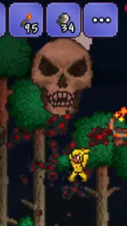 Terraria capture 6