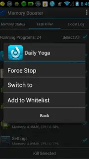 Memory Booster capture 1