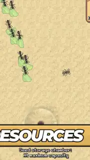 Pocket Ants capture 6