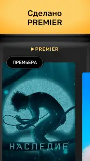 PREMIER capture 13