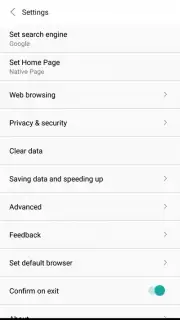 Mini Private Browser: Fast Search, Download, No Ad capture 2
