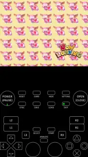 XEBRA capture 3